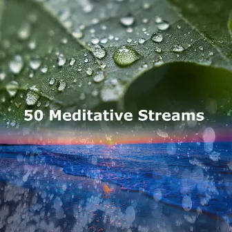 50 Meditative Streams by NaturalSingingBowls