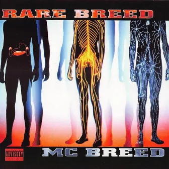 Rare Breed by MC Breed