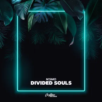 Divided Souls by N!smo