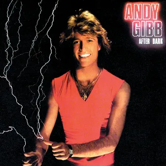 After Dark by Andy Gibb