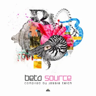 Beta Source by Jossie Telch