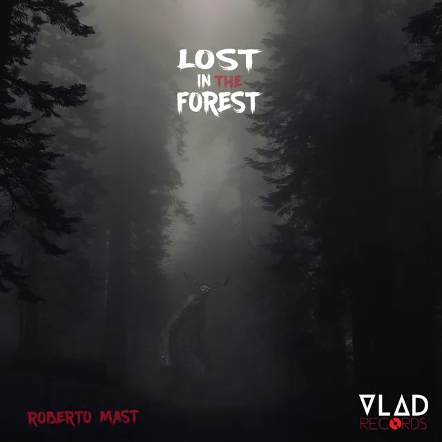 Lost In The Forest