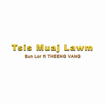 Tsis Muaj Lawm (Instrumental) by SUN LOR