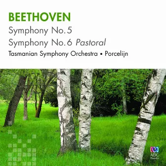 Beethoven: Symphonies Nos. 5 & 6 by David Porcelijn