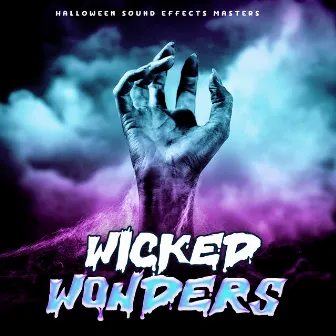 Wicked Wonders by Unknown Artist