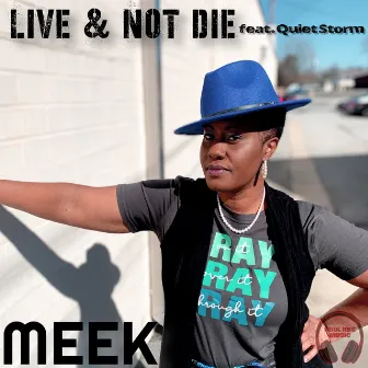 Live & Not Die by Meek