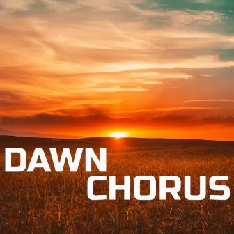 Dawn Chorus by Calming Nerves Sounds