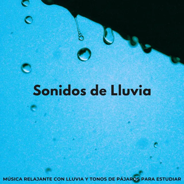 Sonidos De Lluvia: Música Relajante Con Lluvia Y Tonos De Pájaros Para Estudiar