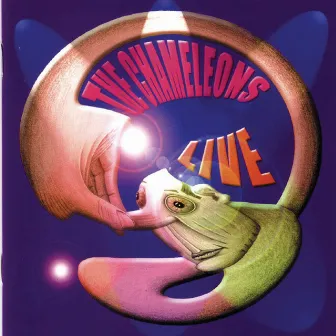 Live at The Academy Vol. 1 by The Chameleons