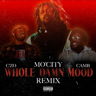 Whole Damn Mood (Remix) by Mocity