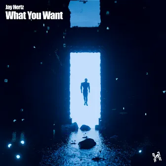 What You Want by Jay Hertz