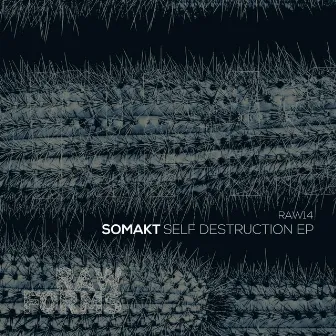 Self Destruction EP by Somakt