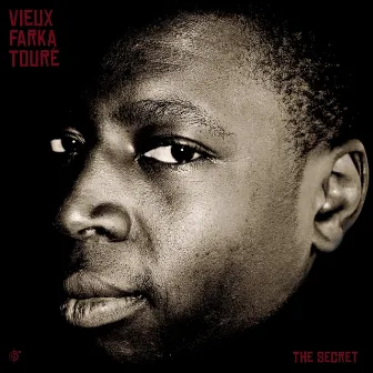 The Secret by Vieux Farka Touré