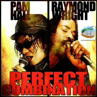 Perfect Combination by Raymond Wright