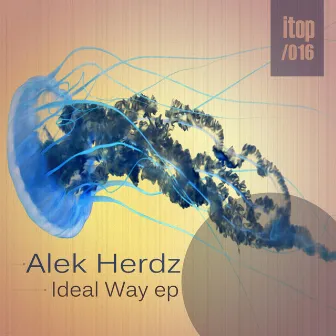 Ideal Way by Alek Herdz