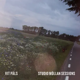 Studio Möllan Sessions by Vit Päls