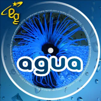 Agua by Lenzmann