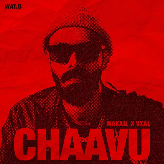 Chaavu