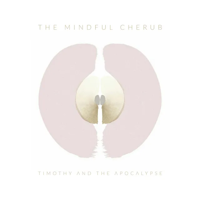 The Mindful Cherub - 9 Theory Remix