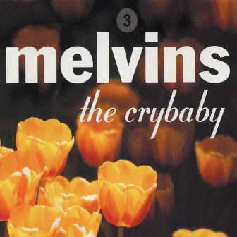 Crybaby by Melvins