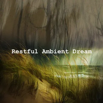 Restful Ambient Dream by Unknown Artist