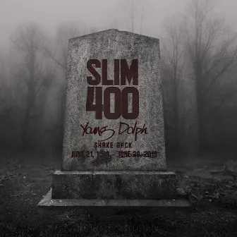 Shake Back (feat. Young Dolph) by Slim 400