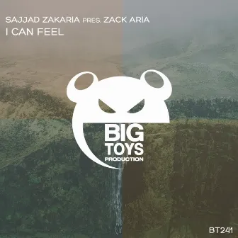 I Can Feel by Sajjad Zakaria