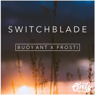 Switchblade by Frosti