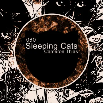 Sleeping Cats by Cameron Thias