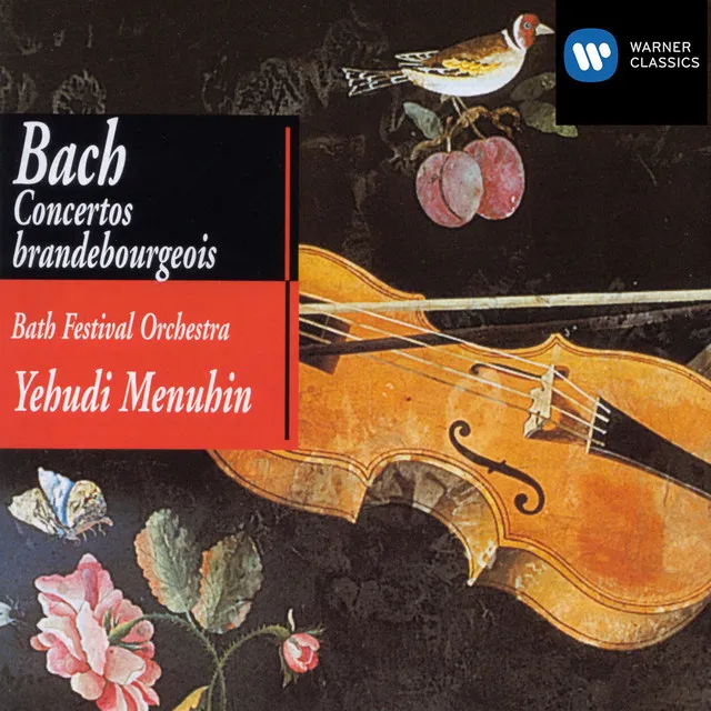 Bach, JS: Brandenburg Concerto No. 4 in G Major, BWV 1049: II. Andante