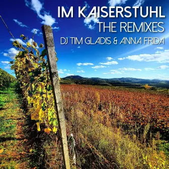 Im Kaiserstuhl (The Remixes) by DJ Tim Gladis