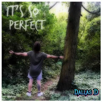 It's so Perfect by Dallas D