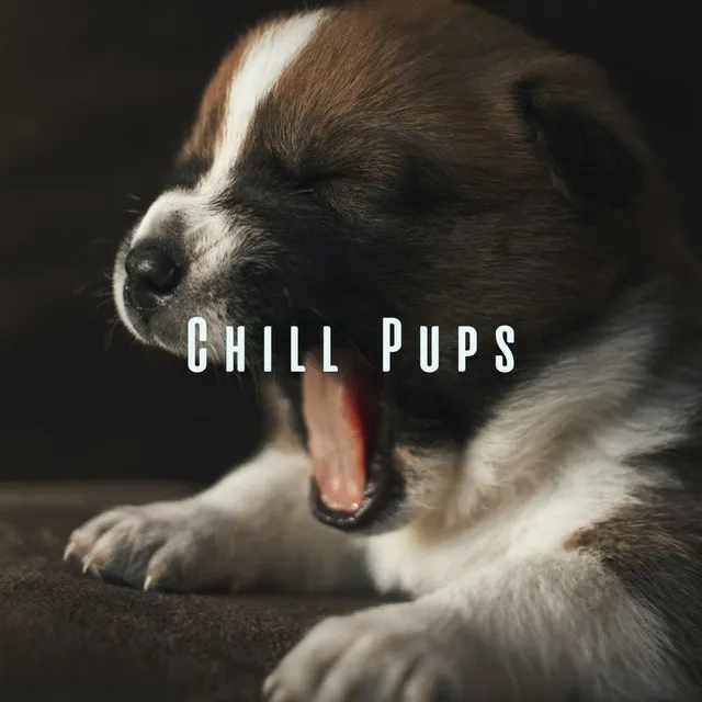 Chill Pups: Relaxation Sounds for a Happy Dog