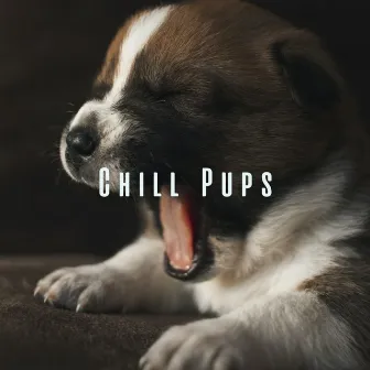 Chill Pups: Relaxation Sounds for a Happy Dog by 101 Relax