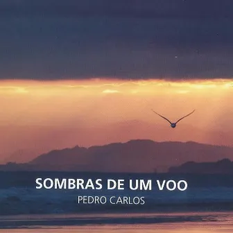 Sombras De Um Voo by Pedro Carlos