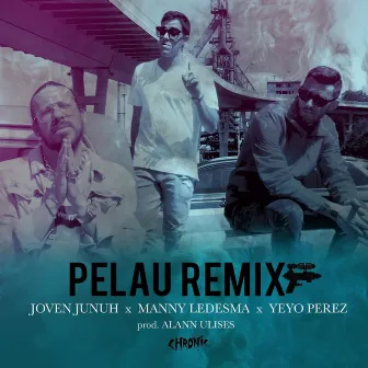 Pelau (Remix) by Manny Ledesma