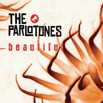 Beautiful by The Parlotones