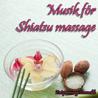 Musik för Shiatsu massage by Entspannung Ensemble