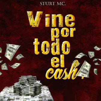 Vine por Todo el Cash by Unknown Artist