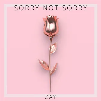 Sorry Not Sorry by Zay