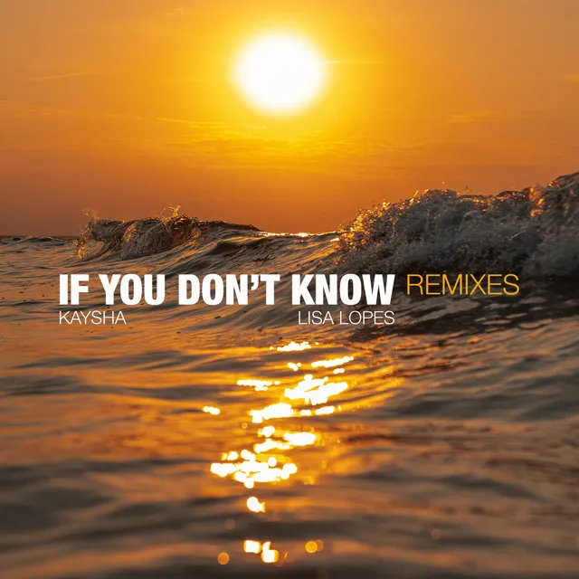 If You Don't Know - Snake Dizzy Remix