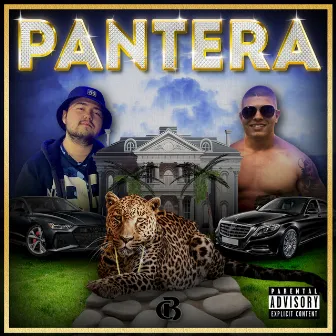 PANTERA by KOCKATA