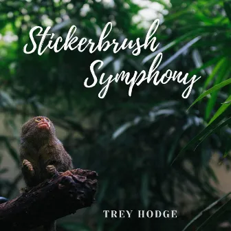 Stickerbrush Symphony by Trey Hodge