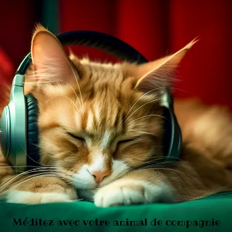 Méditez avec votre animal de compagnie : musique avec des fréquences Hz curatives et des sons de chat ronronnants by Chat musique