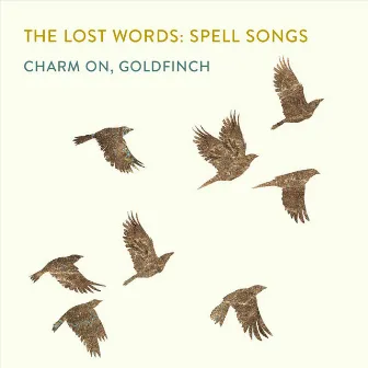 Charm on, Goldfinch by Spell Songs