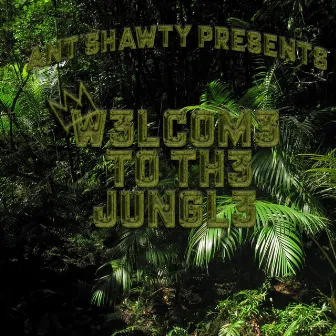 Welcome To The Jungle by Ant Shawty