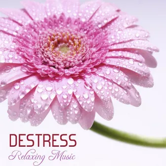 Destress: Relaxing Music by Destress Relaxing Music School