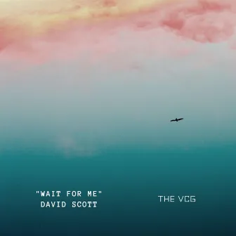 Wait For Me by David Scott