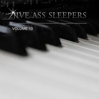 Jive Ass Sleepers, Vol. 13 by Jive Ass Sleepers