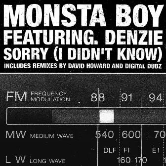 Sorry by Monsta Boy